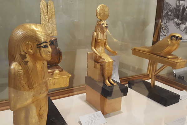 Professional Authority and Legal Credentials