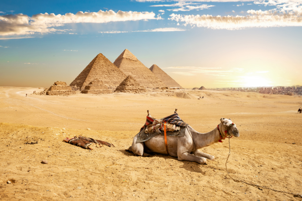 Camel rider near the Pyramids of Giza in the Egyptian desert